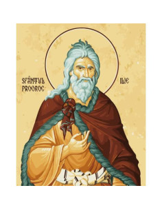 Picturi pe numere Religioase 60x75 cm Sfantul Ilie 20 Iulie