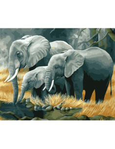 Pictura pe numere Animale 40x50 cm, Etapele Vietuirii