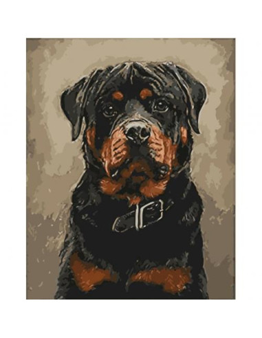 Pictura pe numere Animale 40x50 cm, Baiat Bun