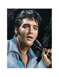 Pictura pe numere Muzica 40x50 cm, Elvis Presley