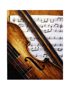 Pictura pe numere Muzica 40x50 cm, Opera Muzicala