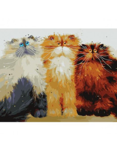 Pictura pe numere Animale 40x50 cm, Gabarit de Pisica