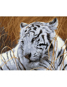 Pictura pe numere Animale 40x50 cm, Raritate Noncolora