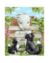 Pictura pe numere Animale 40x50 cm, Prieteni Neobisnuiti