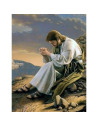 Picturi pe numere Religioase 40x50 cm Isus Hristos