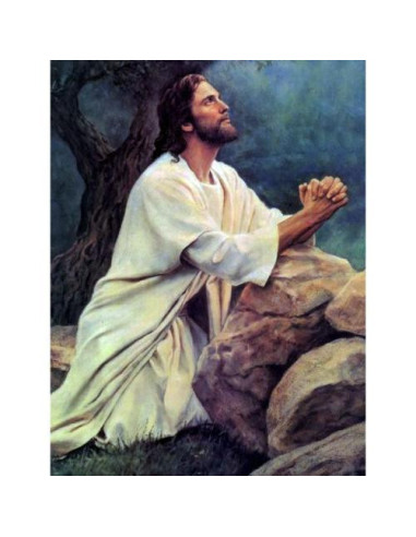 Picturi pe numere Religioase 40x50 cm Rugaciune