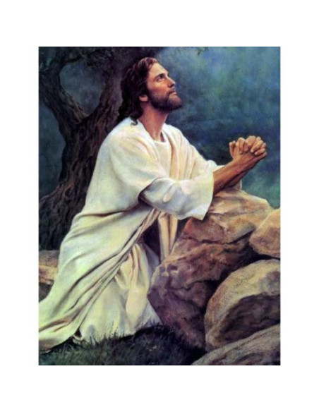 Picturi pe numere Religioase 40x50 cm Rugaciune