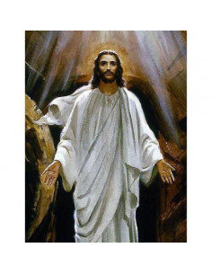 Picturi pe numere Religioase 40x50 cm Isus PDP427,PDP427_5040