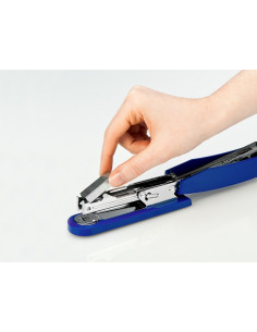 Capsator Novus B2 Color ID 25 file, Vernil,CPS110 2