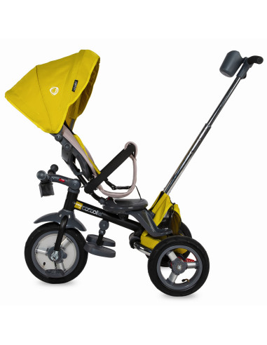 Tricicleta multifunctionala 4in1 cu sezut reversibil Coccolle