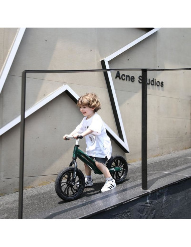 Balance bike QPlay Racer Verde,321QPRACE80
