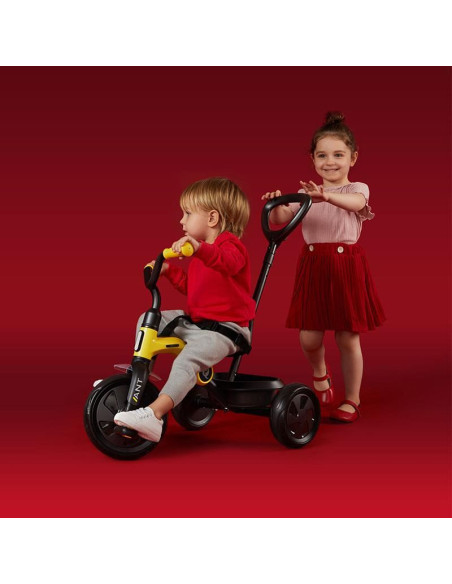 Tricicleta QPlay Ant Plus Albastru,321QPANTP31