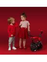 Tricicleta QPlay Ant Plus Albastru,321QPANTP31