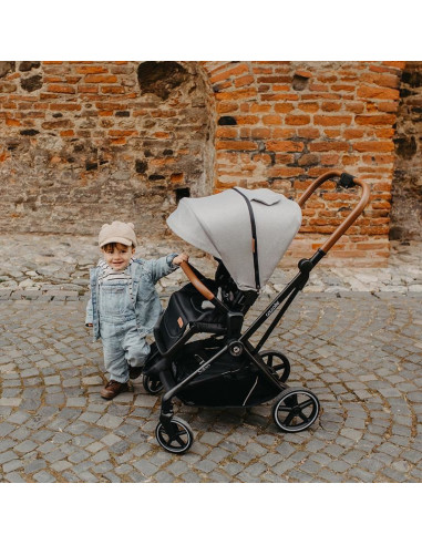 Carucior modular 2in1 Coccolle Saliara Greystone,322065262