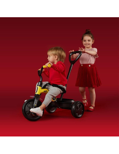 Tricicleta Qplay Ant Plus Roz,321QPANTP10