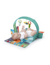 Bright Starts - Salteluta de activitati Out on the