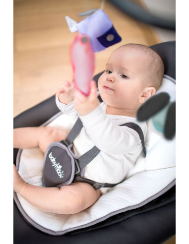 Babymoov – Leagan Swoon Motion Zinc,BB-A055008