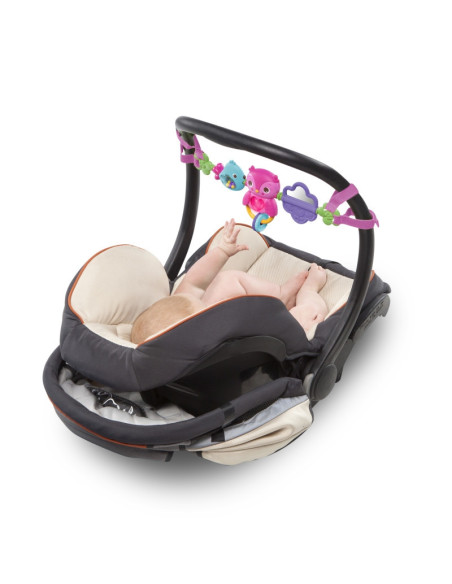 Bright Starts - Bara de jucarii pentru balansoar Take Along