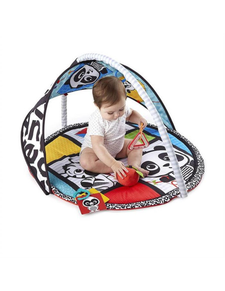 Baby Einstein - Salteluta de activitati Bold New World,BB-11398