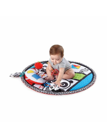 Baby Einstein - Salteluta de activitati Bold New World,BB-11398
