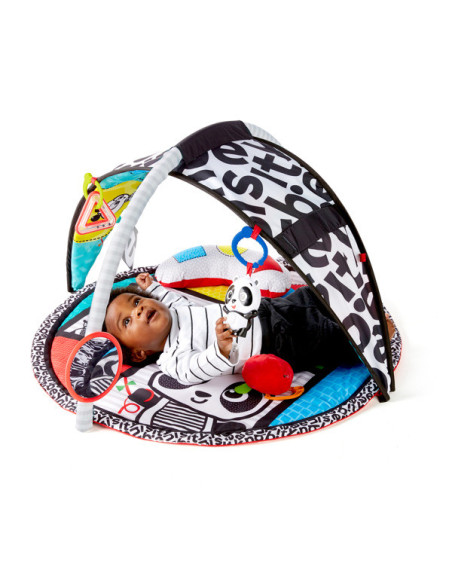 Baby Einstein - Salteluta de activitati Bold New World,BB-11398