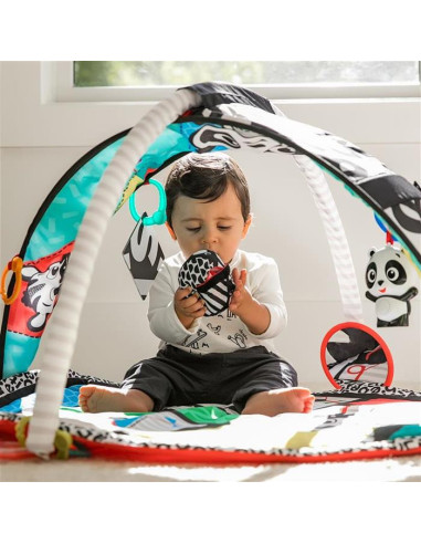 Baby Einstein - Salteluta de activitati Bold New World,BB-11398