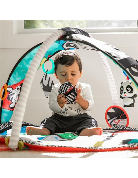 Baby Einstein - Salteluta de activitati Bold New World,BB-11398