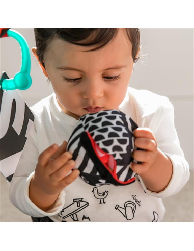 Baby Einstein - Salteluta de activitati Bold New World,BB-11398