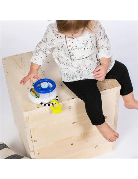 Baby Einstein - Jucarie volan muzical cu lumini Driving