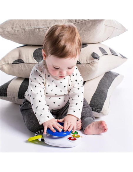 Baby Einstein - Jucarie volan muzical cu lumini Driving