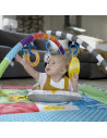 Baby Einstein - Salteluta de activitati 5 in 1 Ball Pit,BB-12573