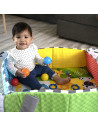 Baby Einstein - Salteluta de activitati 5 in 1 Ball Pit,BB-12573