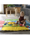 Baby Einstein - Salteluta de activitati 5 in 1 Ball Pit,BB-12573