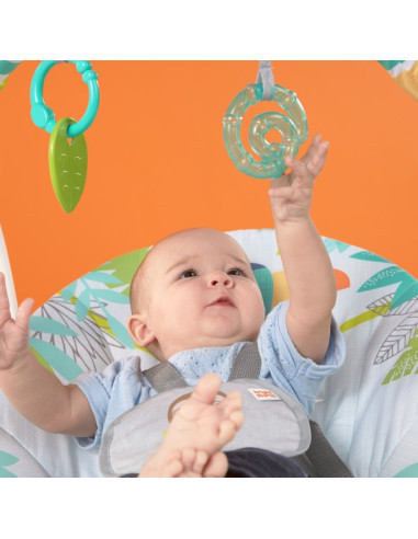 Bright Starts - Leagan portabil Rainforest Vibe,BB-12426