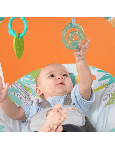 Bright Starts - Leagan portabil Rainforest Vibe,BB-12426