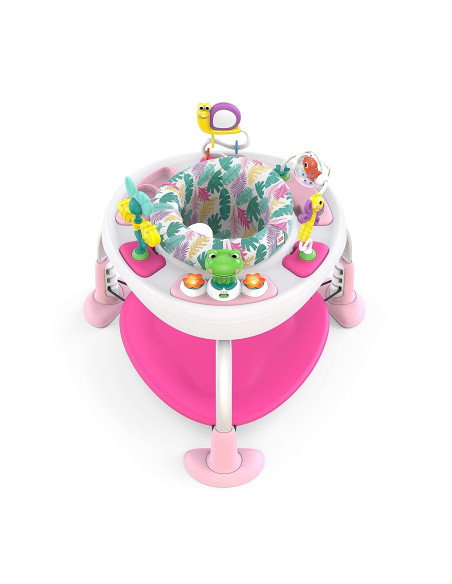 Bright Starts - Centru de activitati 2 in 1 Playful