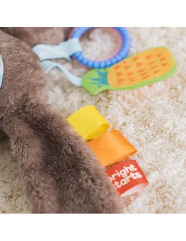 Bright Starts - Jucarie Lenesul zambaret,BB-12501