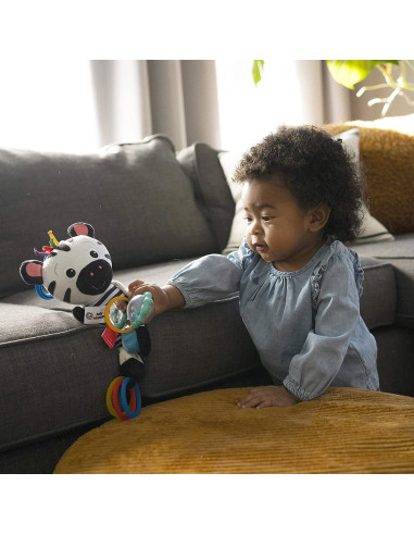 Baby Einstein - Jucarie din plus Zebra zambareata,BB-12793
