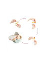 Badabulle - Set 3 dispozitive de hranire,BB-B071001
