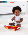 Skip Hop Jucarie xilofon Vulpe - Explore & More,BS-303109
