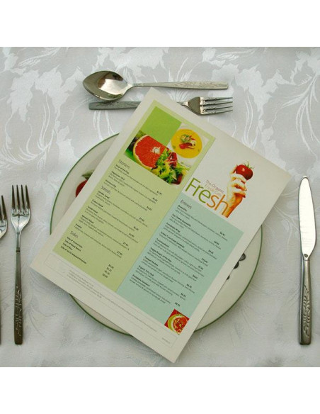 HARTIE POLIESTER A4 195 MICRONI 258G 100/TOP NEVERTEAR