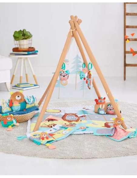 Skip Hop - Jucarie Ursuletul somnoros,BS-9M831010