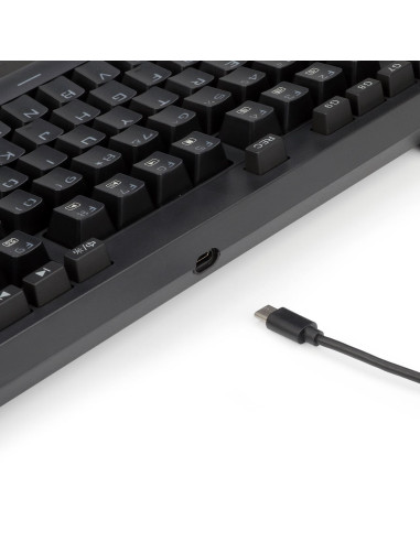 Tastatura gaming mecanica Redragon Broadsword neagra iluminare