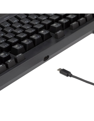 Tastatura gaming mecanica cu fir si wireless Redragon Vishnu