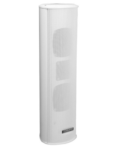 Boxe coloana 30W pe 100V DSPPA DSP255II, montaj ext / int