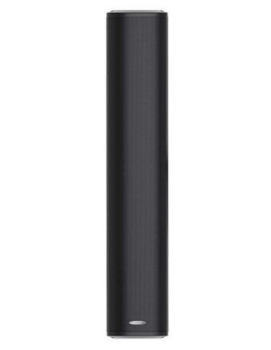 Boxe coloana 60W pe 100V DSPPA DSP455II, montaj ext / int