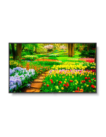 Display NEC-UHD-500cd/m2-E-LED backlight-49",60005051
