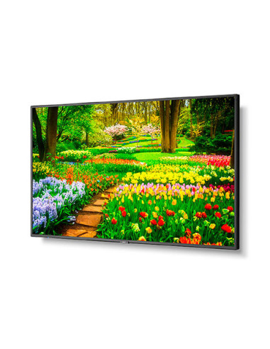 Display NEC-UHD-500cd/m2-E-LED backlight-49",60005051