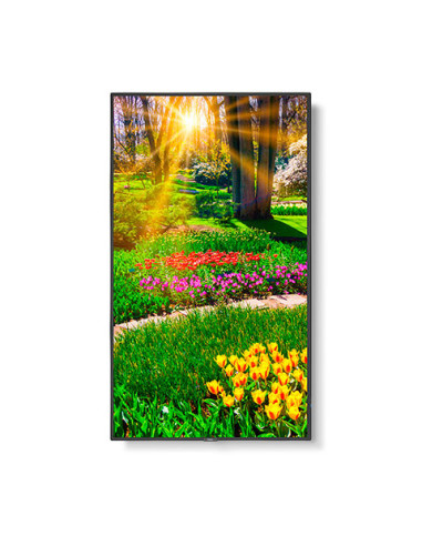 Display NEC-UHD-500cd/m2-E-LED backlight-49",60005051