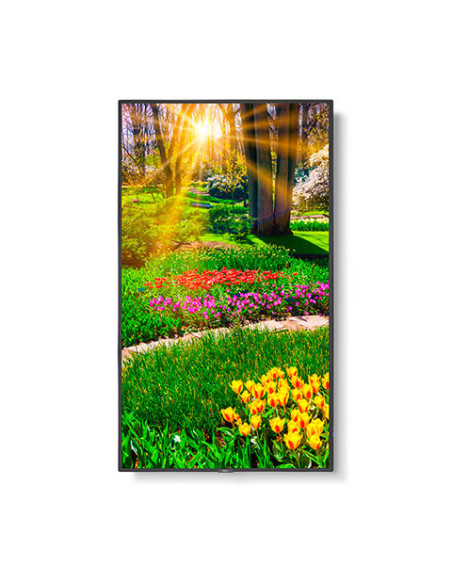 Display NEC-UHD-500cd/m2-E-LED backlight-49",60005051